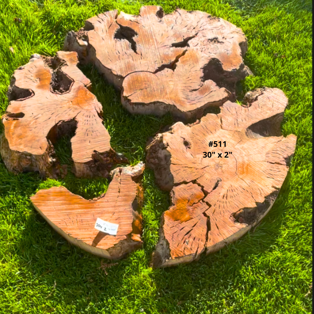 Circular Olive Wood Burl Live Edge Pre Cut KITS