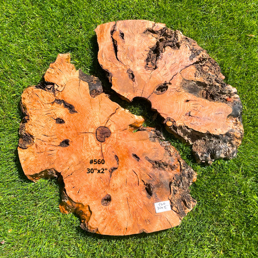 #560 30"x2"