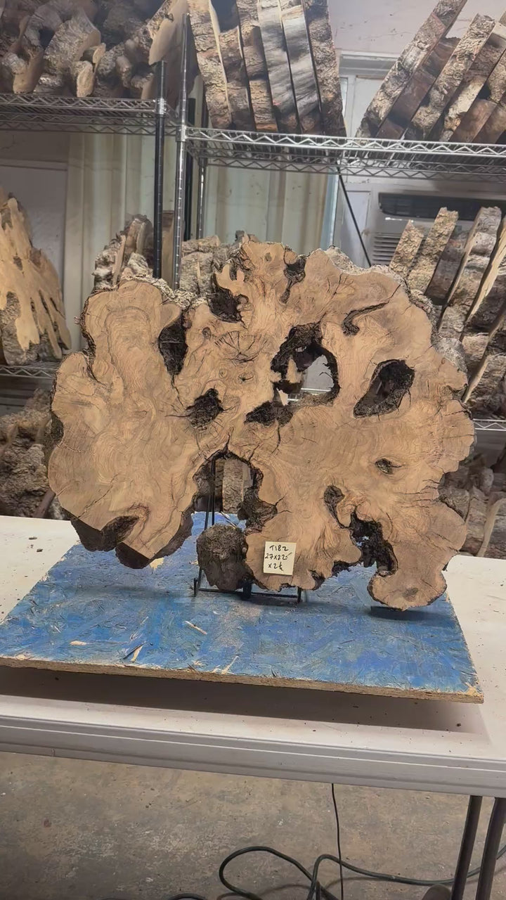 Large Live Edge Olive Cookie 27"x 22"x2 1/4" T182