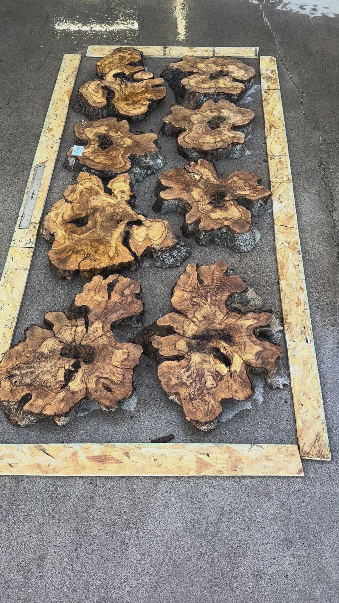 Olive for Dining Table 72"x30"x2"  8pcs R483