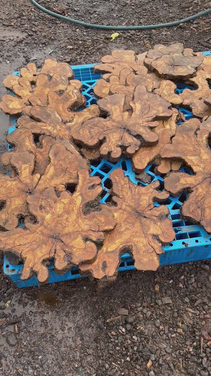 Sets of Thin Olive Wood Slices