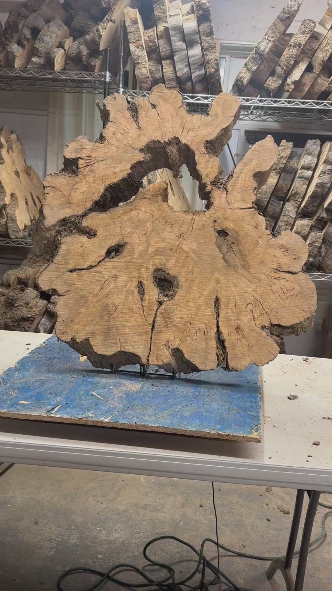 Large Olive Wood Cookie 31"x30"x2 1/4" R697