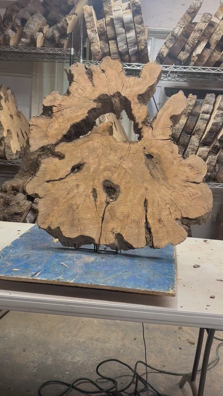 Large Olive Wood Cookie 31"x30"x2 1/4" R697