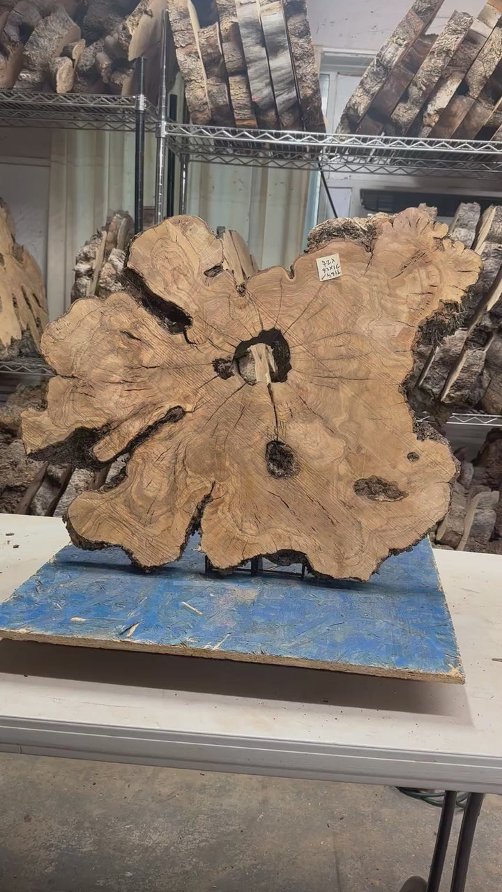 Large Live Edge Olive Cookie 31"x 26"x2 1/4" T164