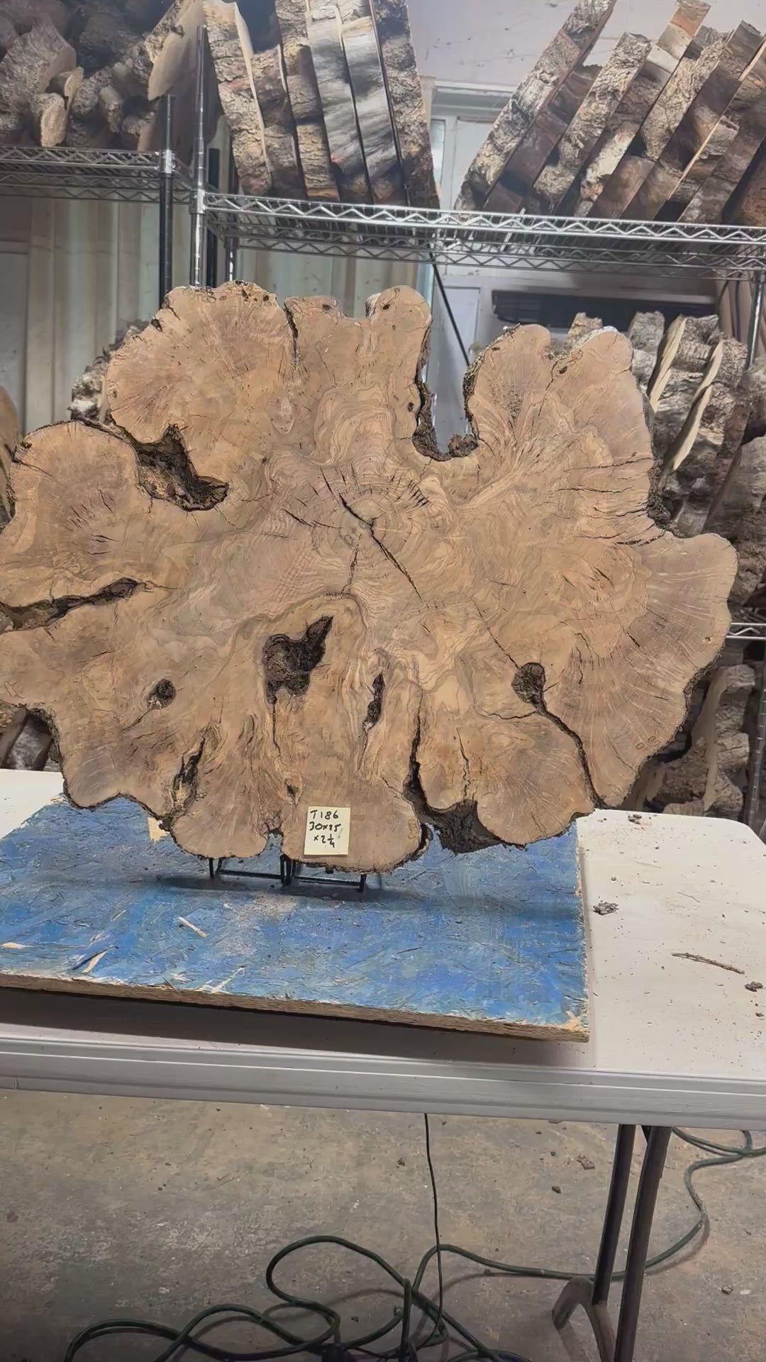 Large Live Edge Olive Cookie 30"x25"x2 1/4" T186