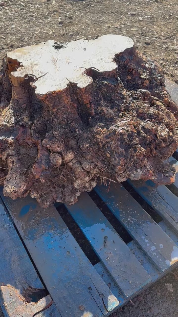 Olive Wood Table Base 37"x25"x14" #B144