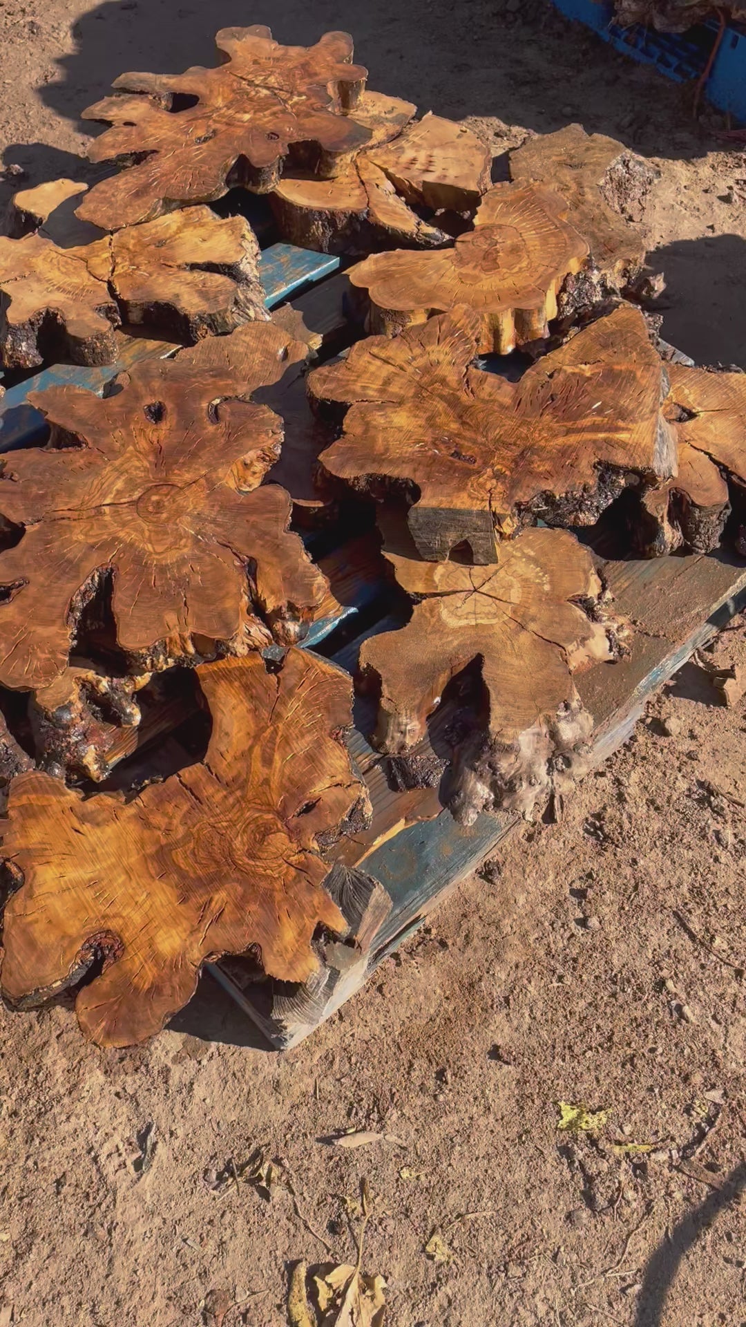 Small Olive Wood Cookies