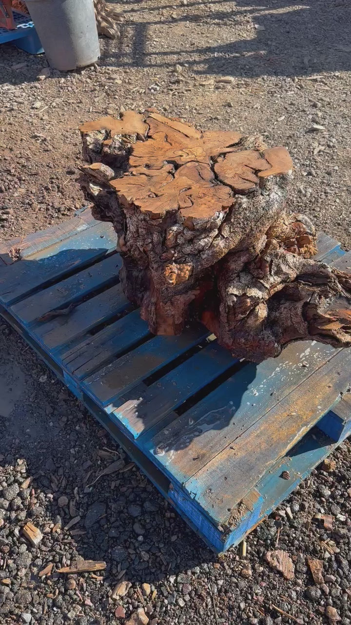 Olive Wood Table Base 37"x26"x15 1/2" #B142