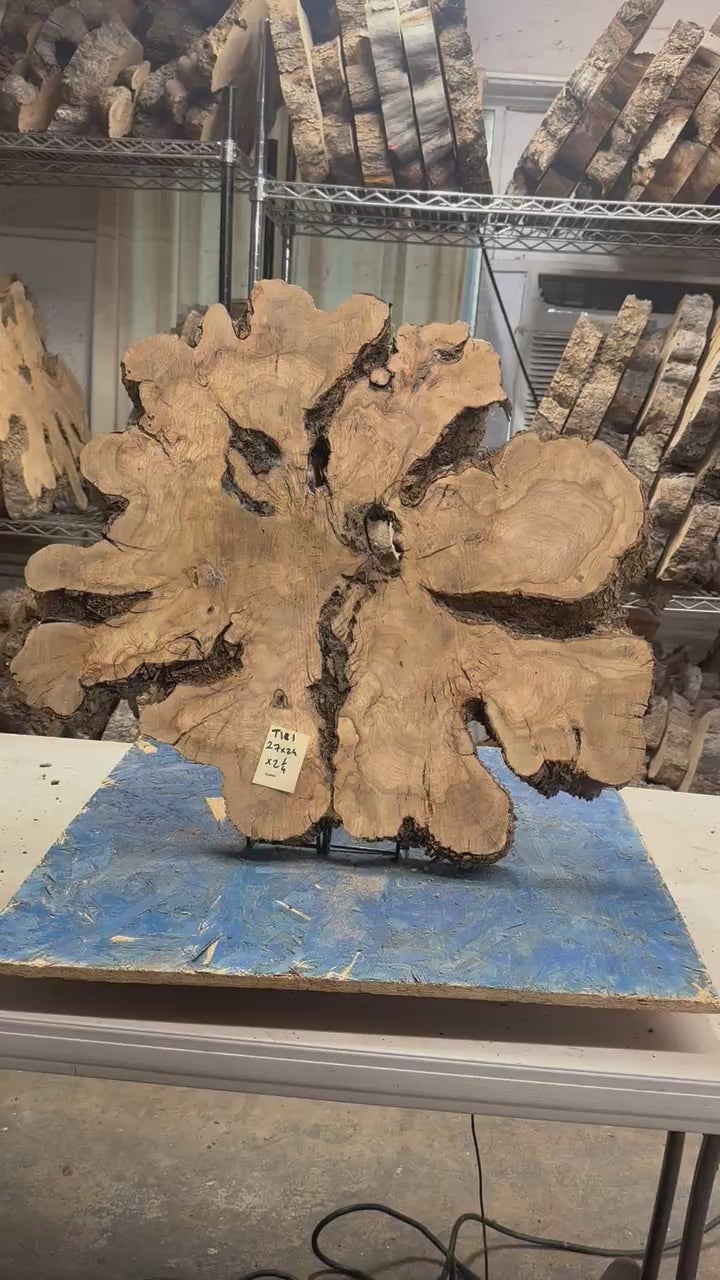 Large Live Edge Olive Cookie 27"x 24"x2 1/4" T181